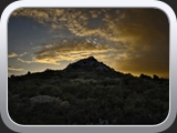 Capo D'orso