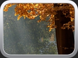 Sanssouci Herbstimpressionen