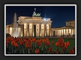 14 Brandenburger Tor 